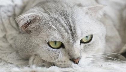 PHP截取内容指定行数之前或之后的内容